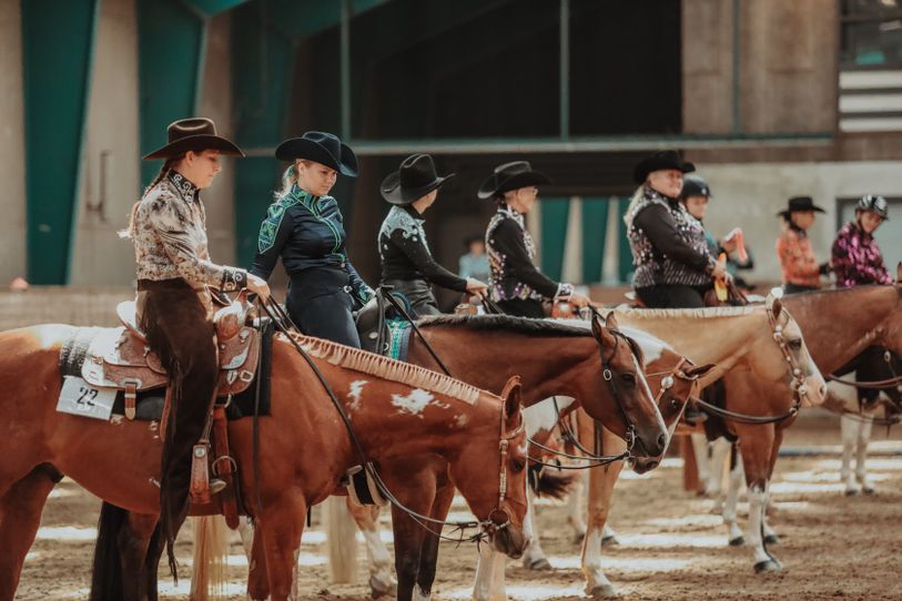 Paint Horse Club Denmark